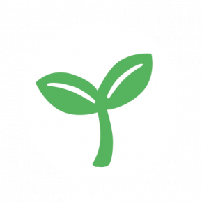 Raw Organic LIFEBAR Blueberry Quinoa