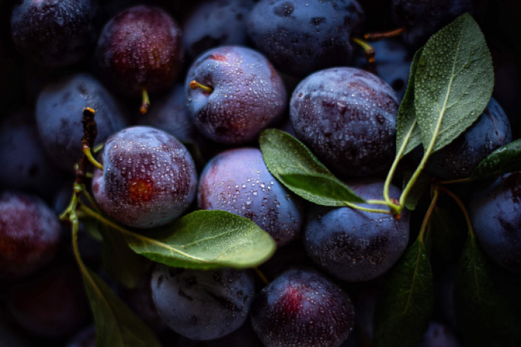Les prunes - Un fruit délicieux que nous amène l’automne