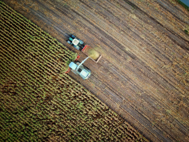 Les coûts externes de la production agricole