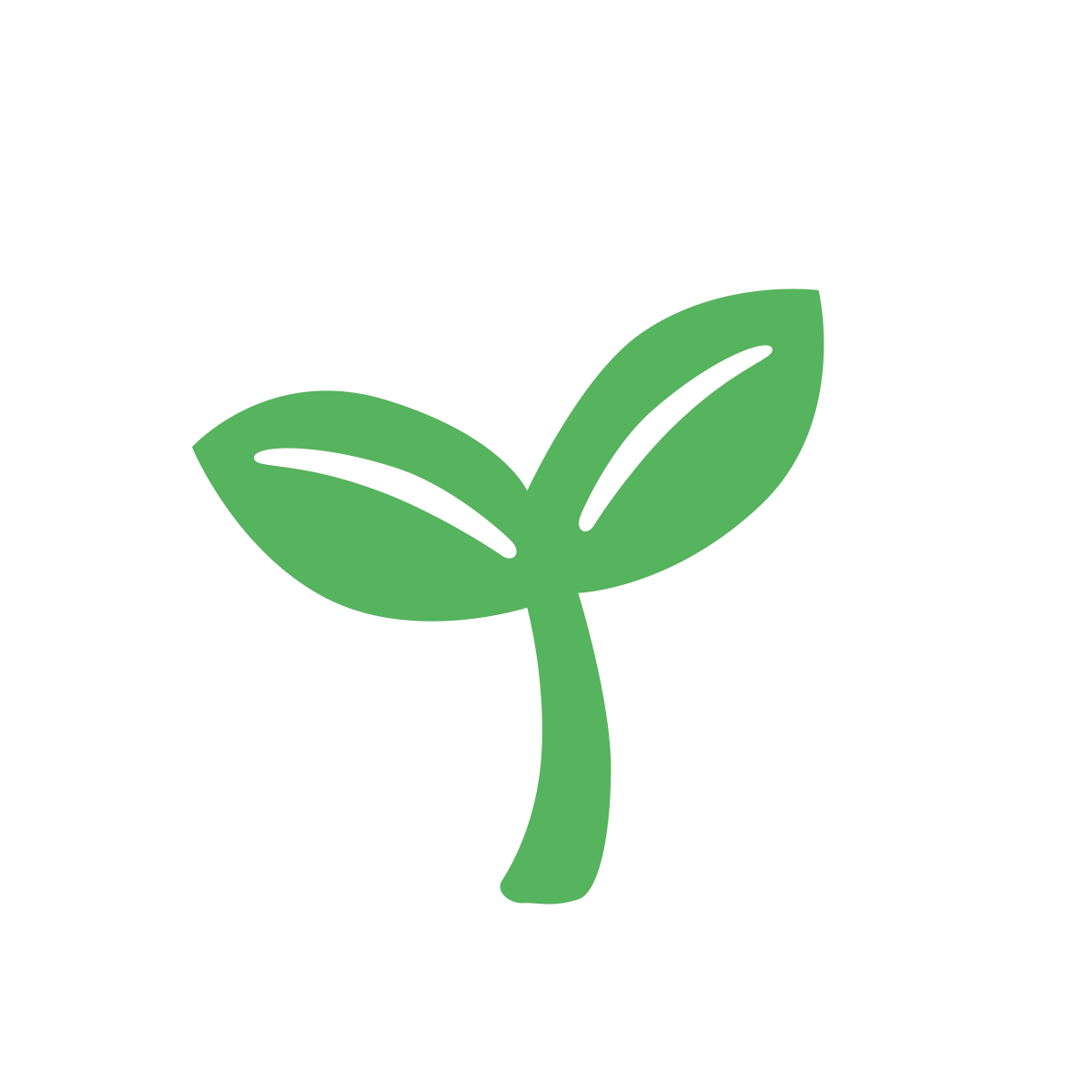 LIFEBAR myrtille quinoa BIO & CRU