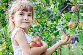 7 conseils pour apprendre aux enfants à aimer les saveurs simples et pures